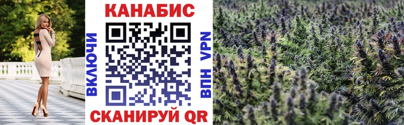 Купить закладку Чекалин Конопля  Псилоцибиновые грибы  ГАШ  Кокаин 
