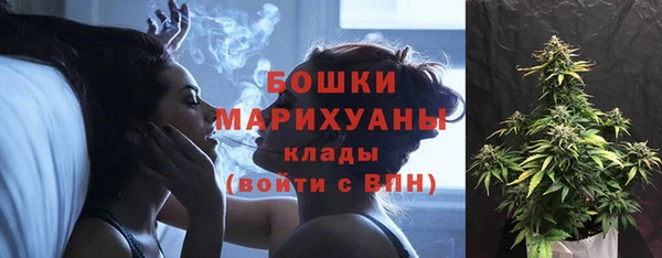 прущие грибы Магас