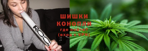 прущие грибы Магас
