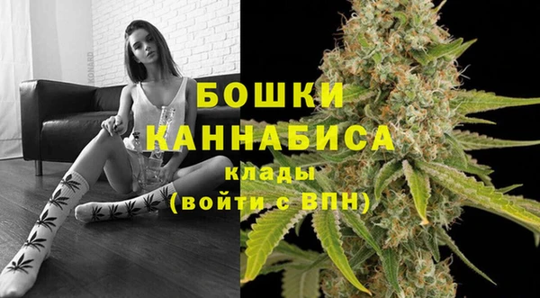 прущие грибы Магас