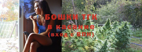 прущие грибы Магас