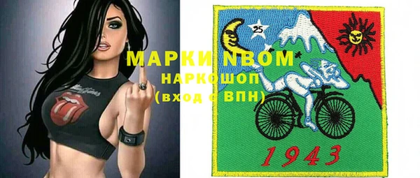 прущие грибы Магас