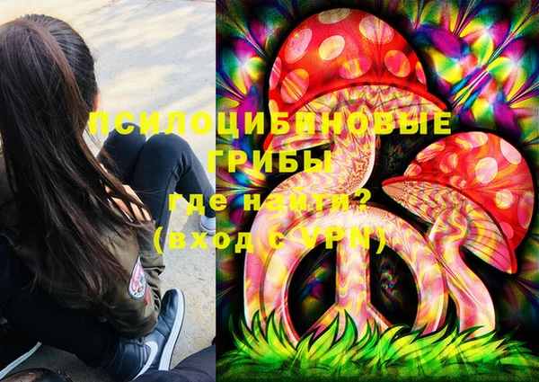 прущие грибы Магас