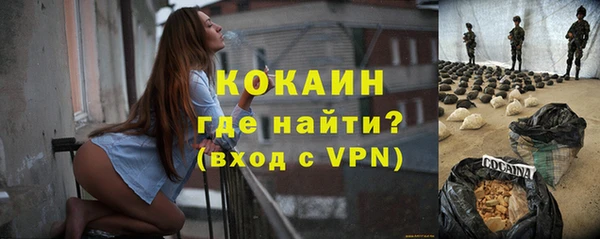 прущие грибы Магас