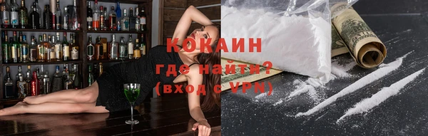 прущие грибы Магас