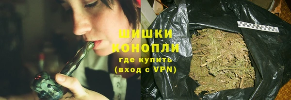прущие грибы Магас